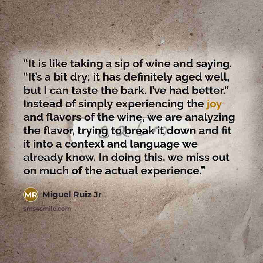 “It is like taking a sip of wine and saying, “It’s a bit dry; it has definitely aged well, but I can taste the bark. I’ve had better.” Instead of simply experiencing the joy and flavors of the wine, we are analyzing the flavor, trying to break it down and fit it into a context and language we…” quote by Miguel Ruiz Jr