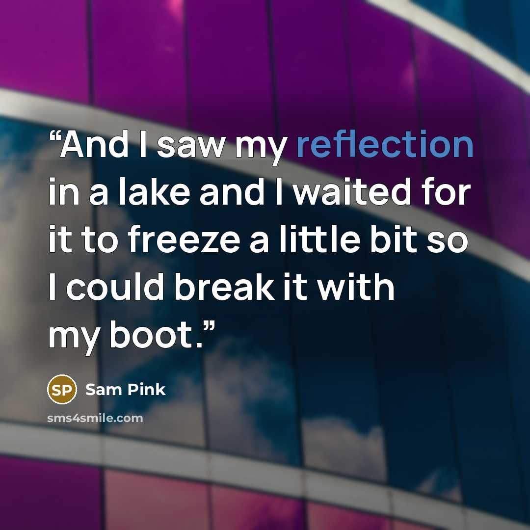 “And I saw my reflection in a lake and I waited for it to freeze a little bit so I could break it with my boot.” quote by Sam Pink