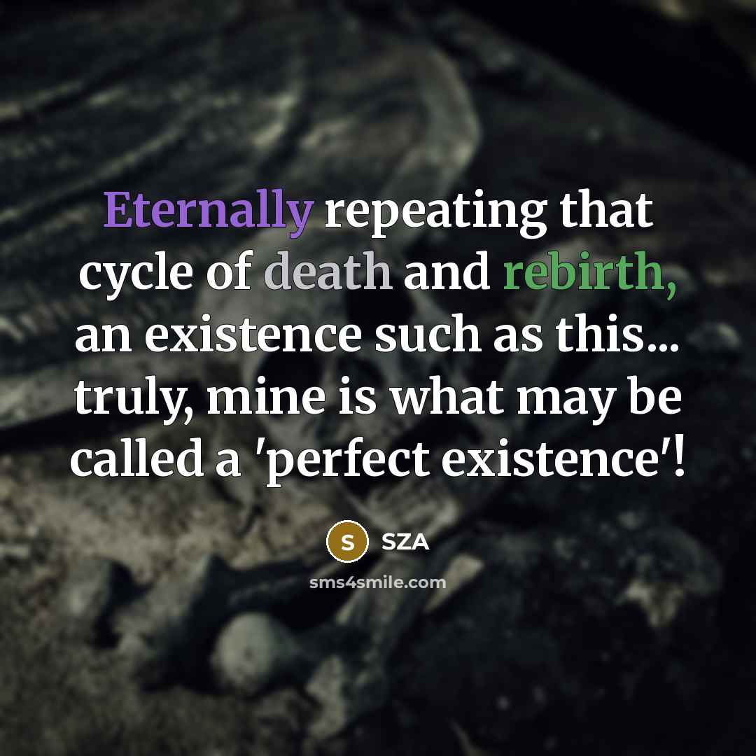 “Eternally repeating that cycle of death and rebirth, an existence such as this... truly, mine is what may be called a 'perfect existence'!” quote by SZA
