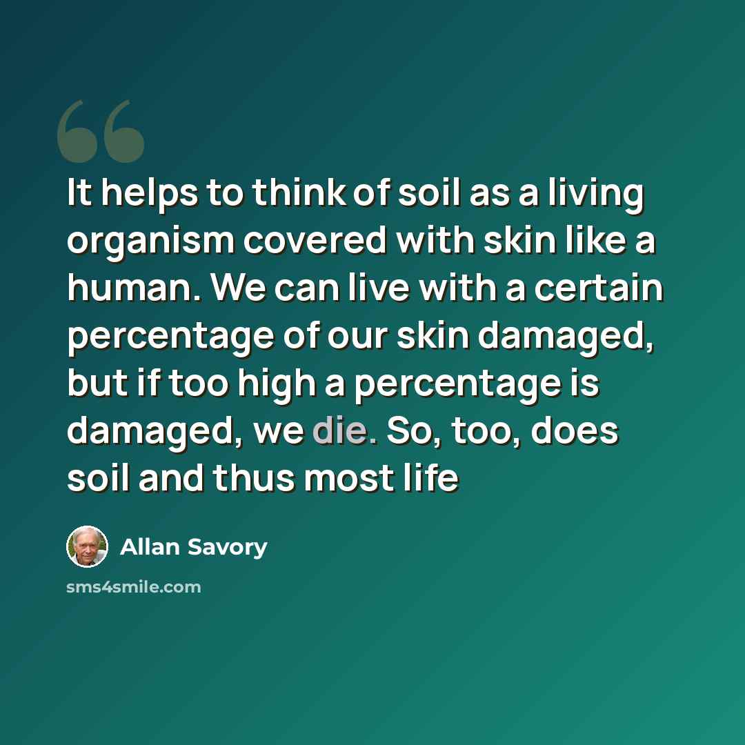 “It helps to think of soil as a living organism covered with skin like a human. We can live with a certain percentage of our skin damaged, but if too high a percentage is damaged, we die. So, too, does soil and thus most life” quote by Allan Savory