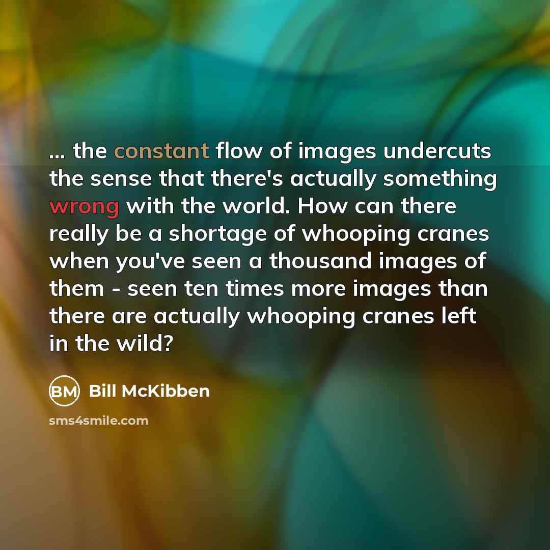 “... the constant flow of images undercuts the sense that there's actually something wrong with the world. How can there really be a shortage of whooping cranes when you've seen a thousand images of them - seen ten times more images than there are actually whooping cranes left in the wild?” quote by Bill McKibben