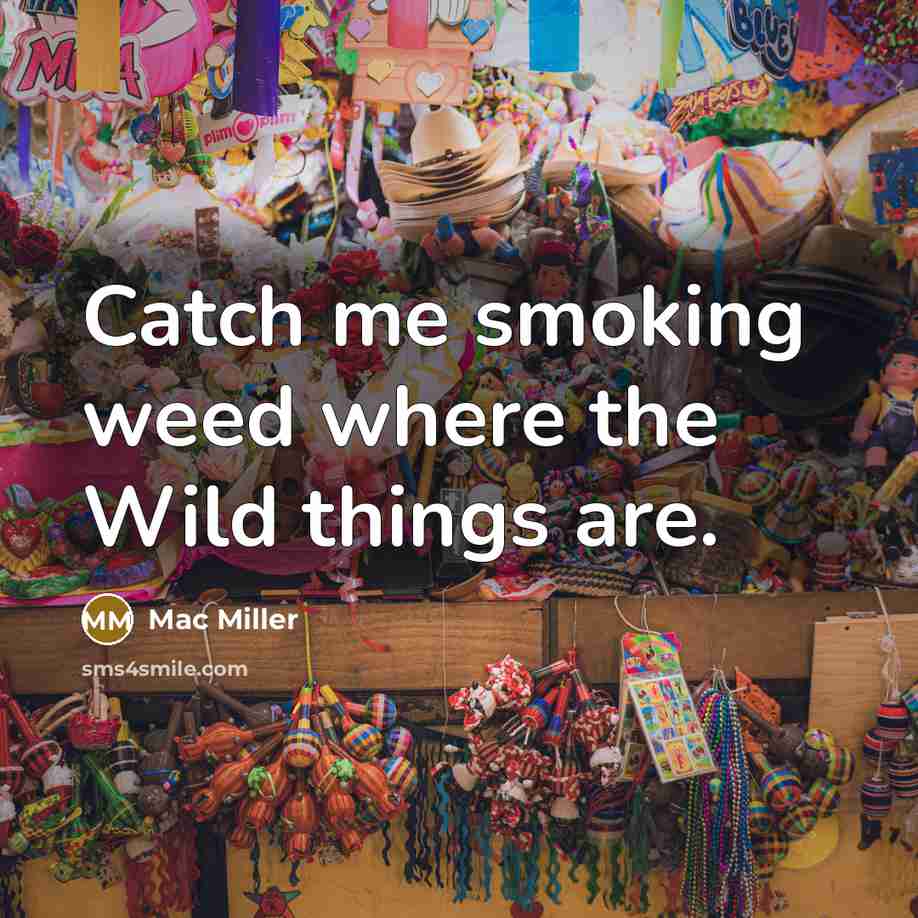 “Catch me smoking weed where the Wild things are.” quote by Mac Miller