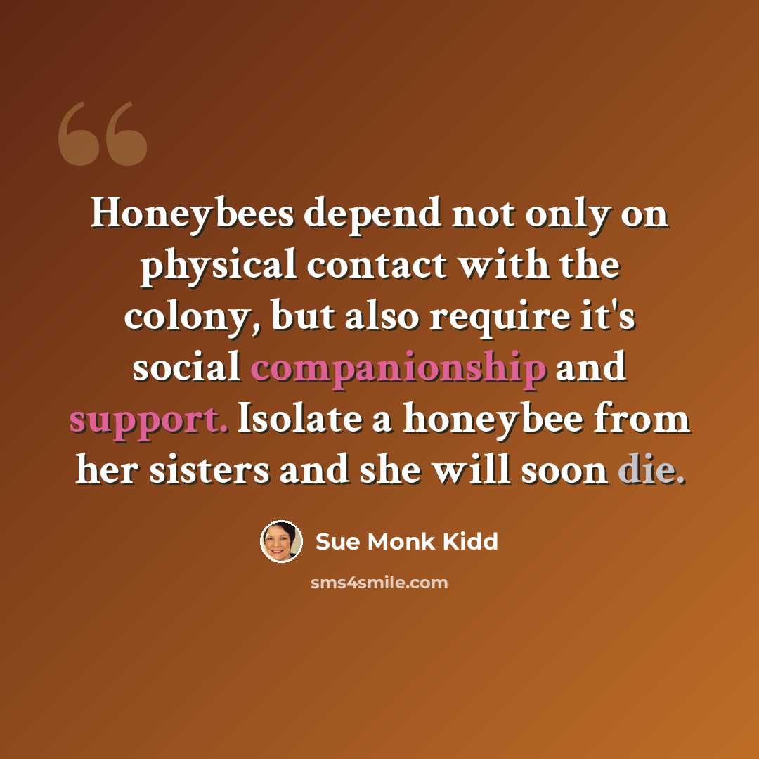 “Honeybees depend not only on physical contact with the colony, but also require it's social companionship and support. Isolate a honeybee from her sisters and she will soon die.” quote by Sue Monk Kidd