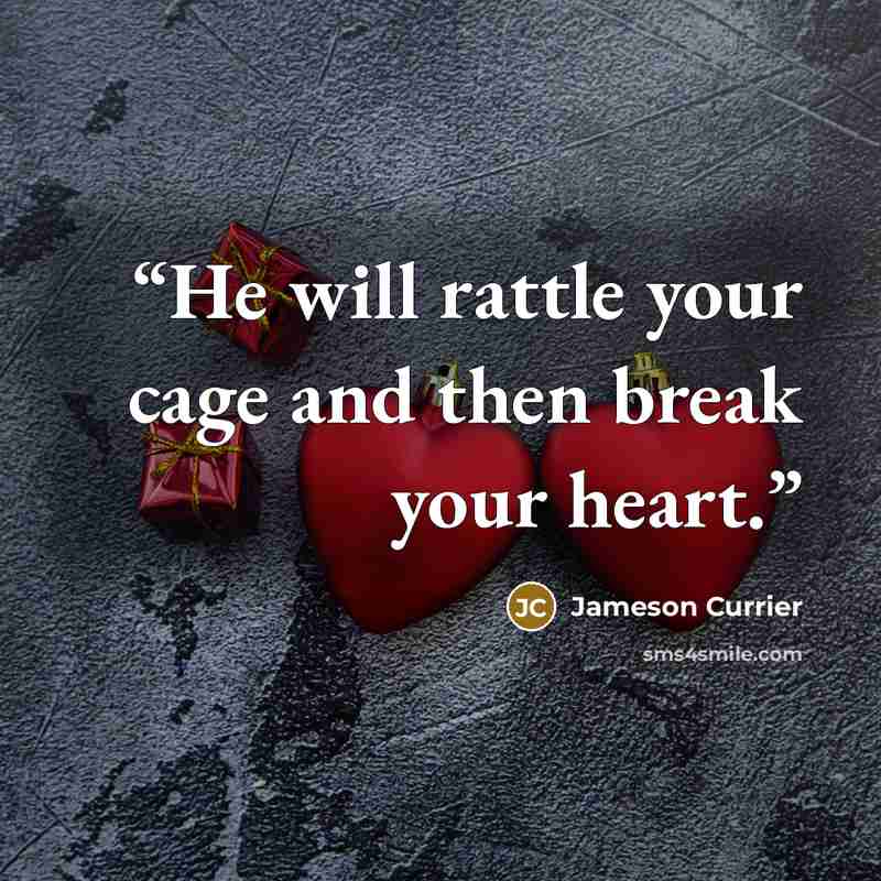 “He will rattle your cage and then break your heart.” quote by Jameson Currier