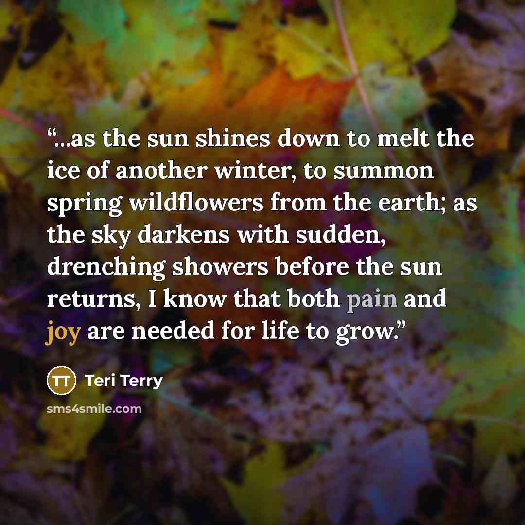 “...as the sun shines down to melt the ice of another winter, to summon spring wildflowers from the earth; as the sky darkens with sudden, drenching showers before the sun returns, I know that both pain and joy are needed for life to grow.” quote by Teri Terry
