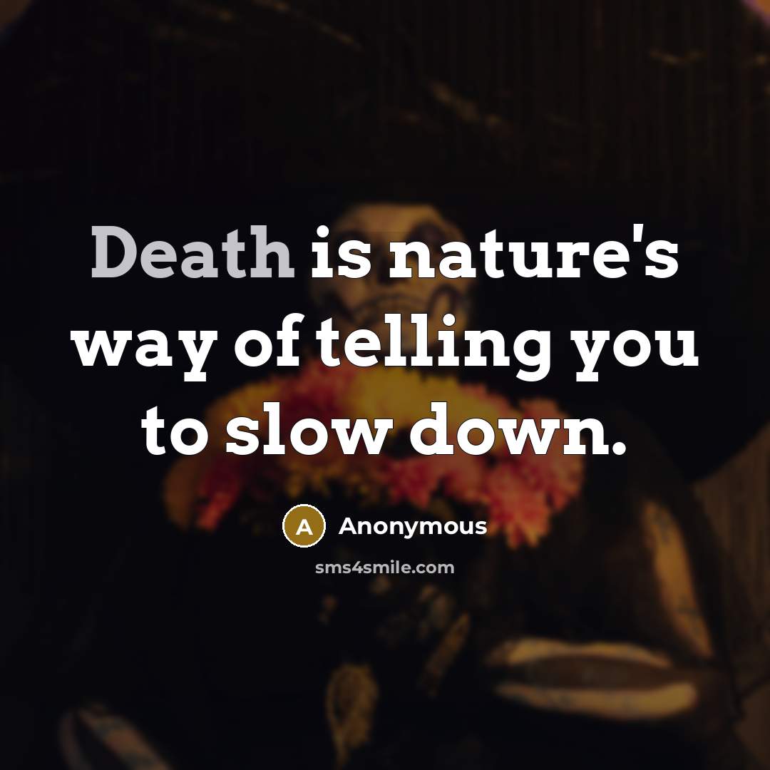 “Death is nature's way of telling you to slow down.” quote by Anonymous