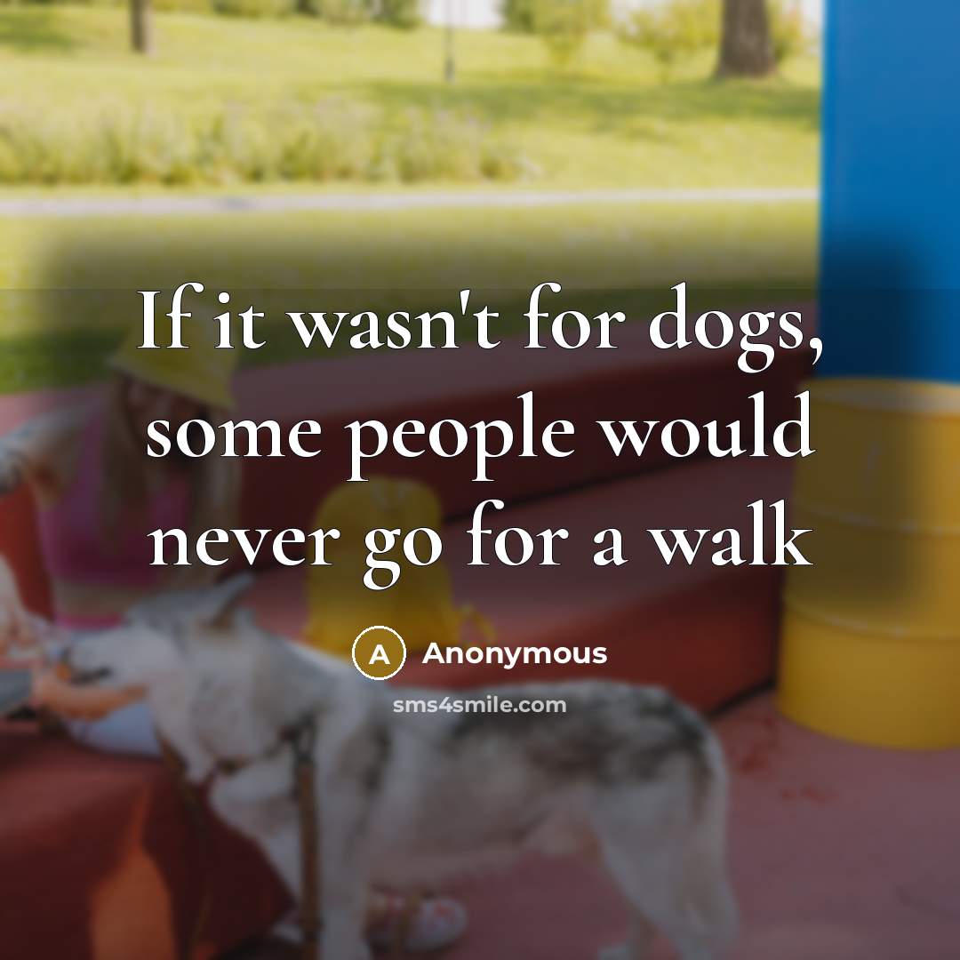 “If it wasn't for dogs, some people would never go for a walk” quote by Anonymous
