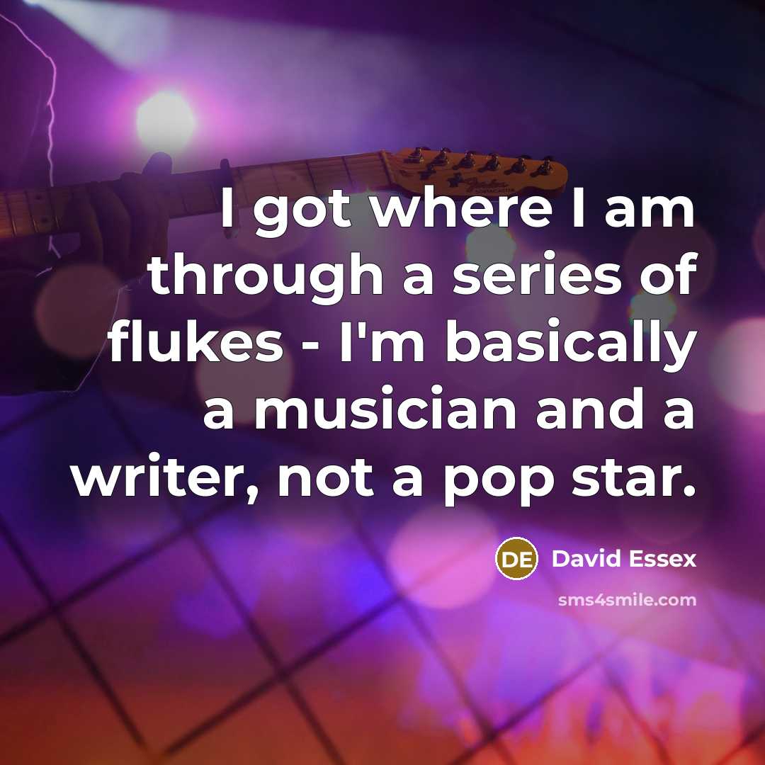 “I got where I am through a series of flukes - I'm basically a musician and a writer, not a pop star.” quote by David Essex