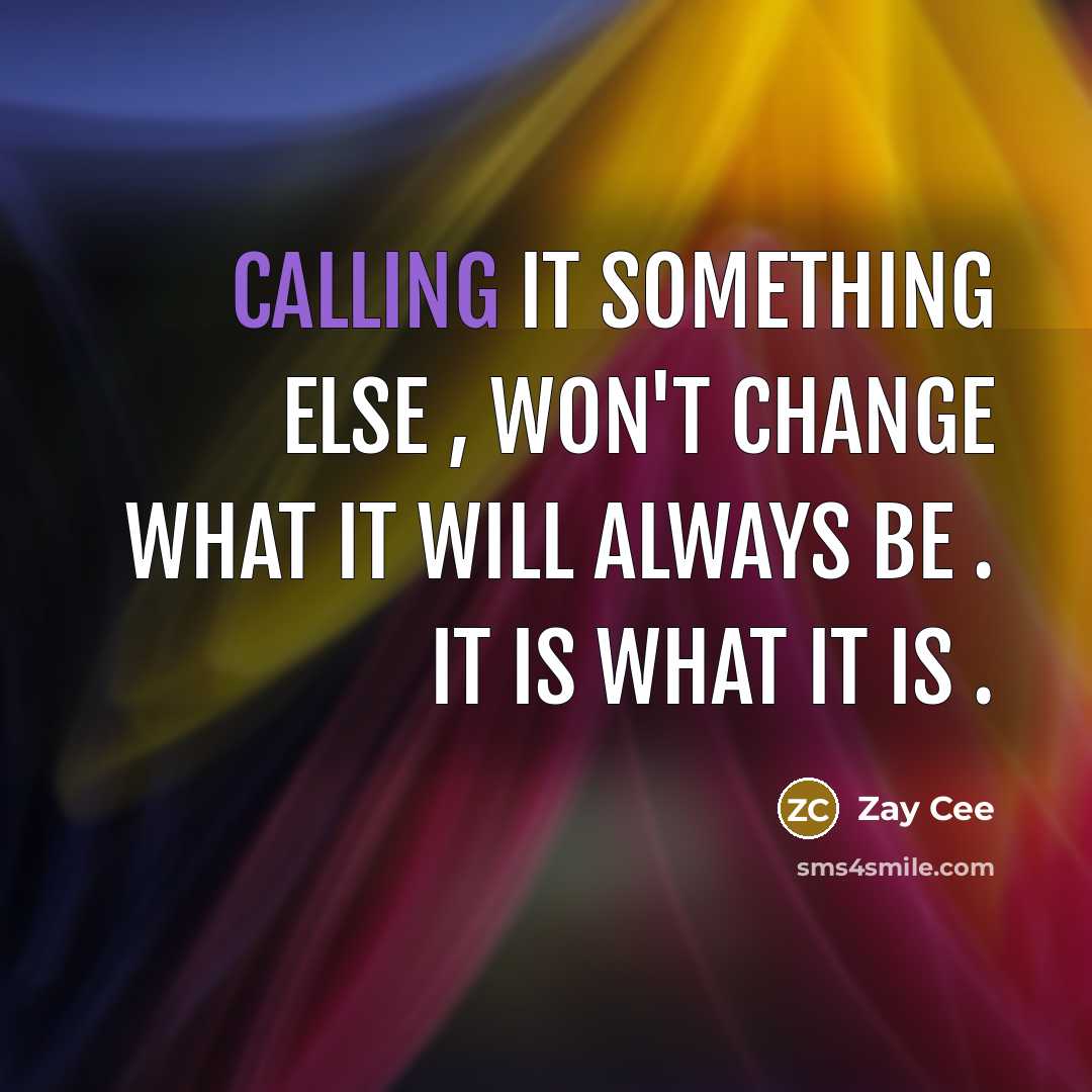 “Calling it something else , won't change what it will always be . It is what it is .” quote by Zay Cee