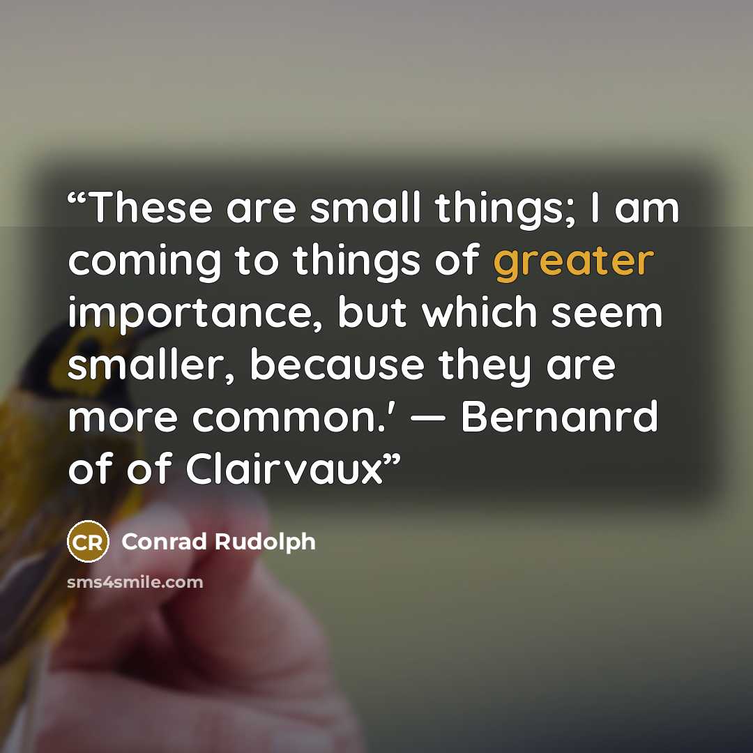 “These are small things; I am coming to things of greater importance, but which seem smaller, because they are more common.' — Bernanrd of of Clairvaux” quote by Conrad Rudolph