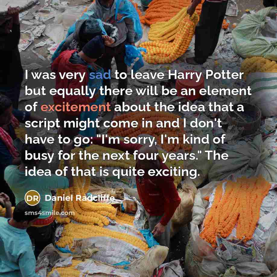 “I was very sad to leave Harry Potter but equally there will be an element of excitement about the idea that a script might come in and I don't have to go: "I'm sorry, I'm kind of busy for the next four years." The idea of that is quite exciting.” quote by Daniel Radcliffe