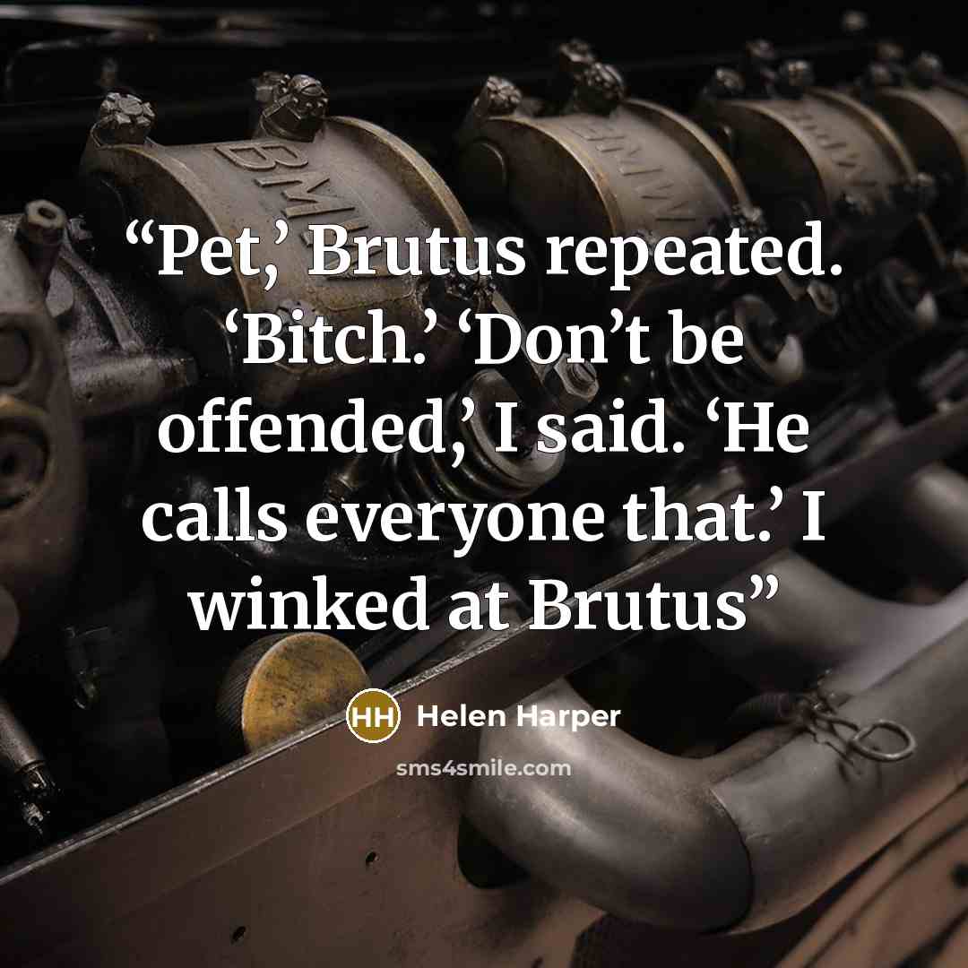 “Pet,’ Brutus repeated. ‘Bitch.’ ‘Don’t be offended,’ I said. ‘He calls everyone that.’ I winked at Brutus” quote by Helen Harper