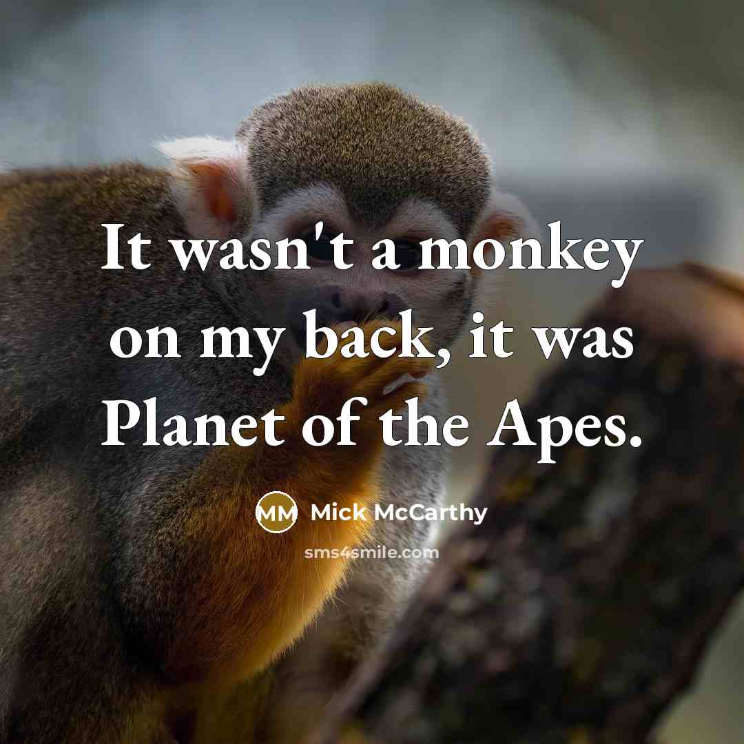 “It wasn't a monkey on my back, it was Planet of the Apes.” quote by Mick McCarthy