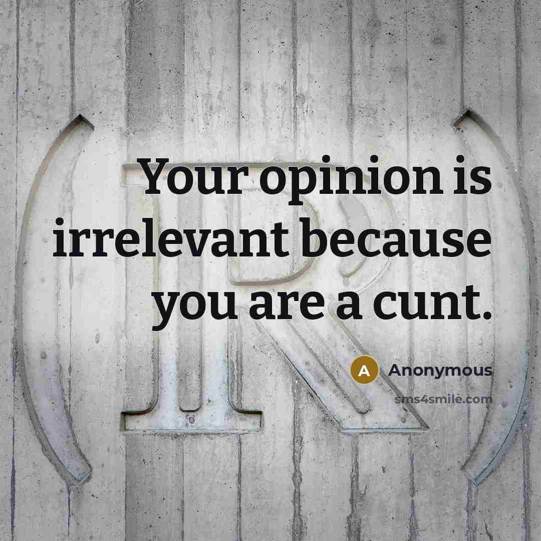 “Your opinion is irrelevant because you are a cunt.” quote by Anonymous