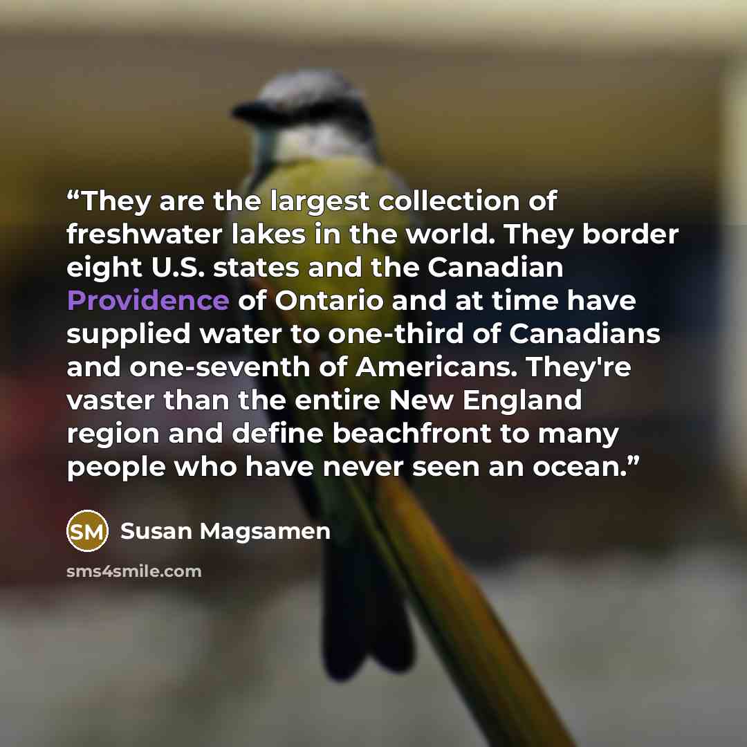 “They are the largest collection of freshwater lakes in the world. They border eight U.S. states and the Canadian Providence of Ontario and at time have supplied water to one-third of Canadians and one-seventh of Americans. They're vaster than the entire New England region and define beachfront to…” quote by Susan Magsamen