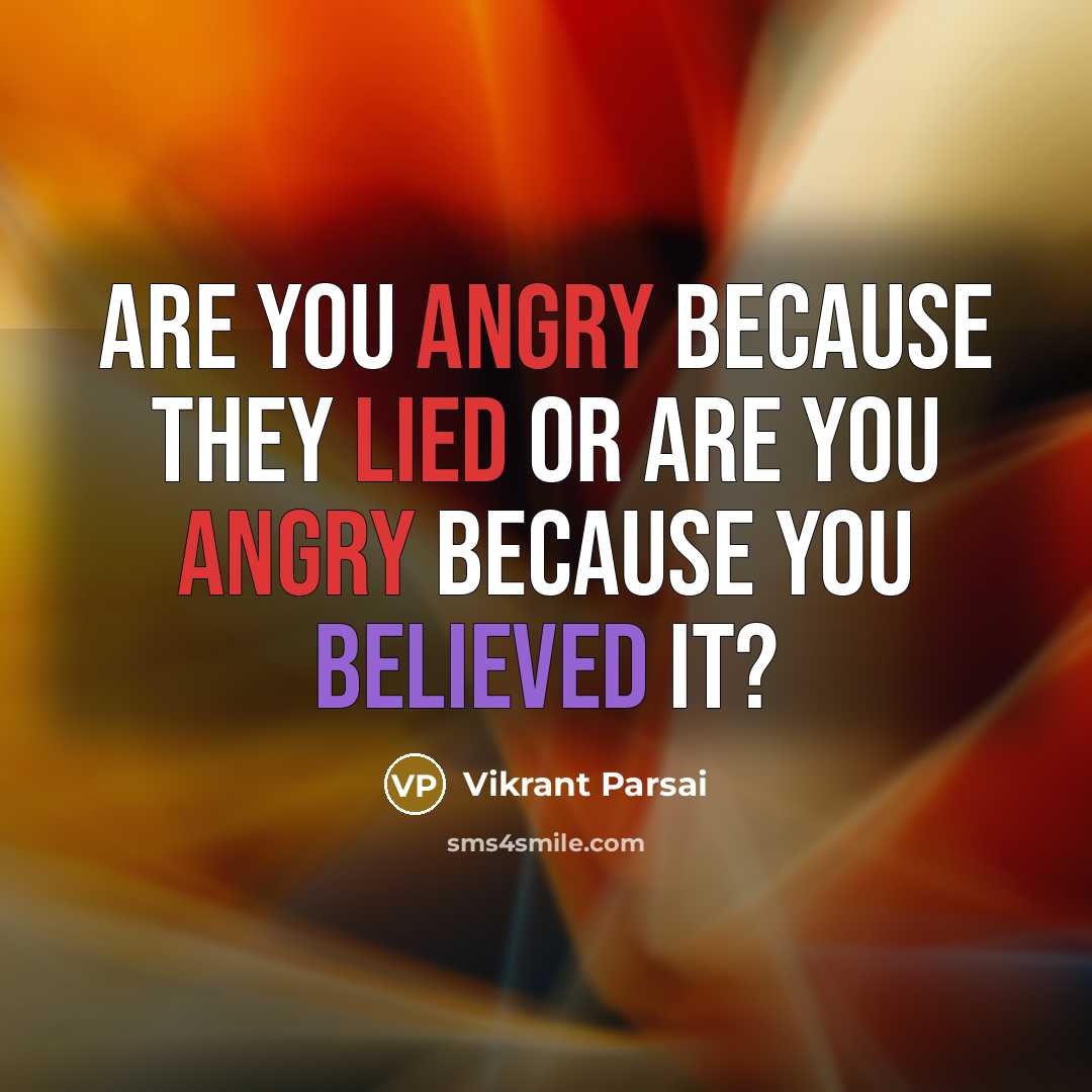 “Are you angry because they lied or are you angry because you believed it?” quote by Vikrant Parsai