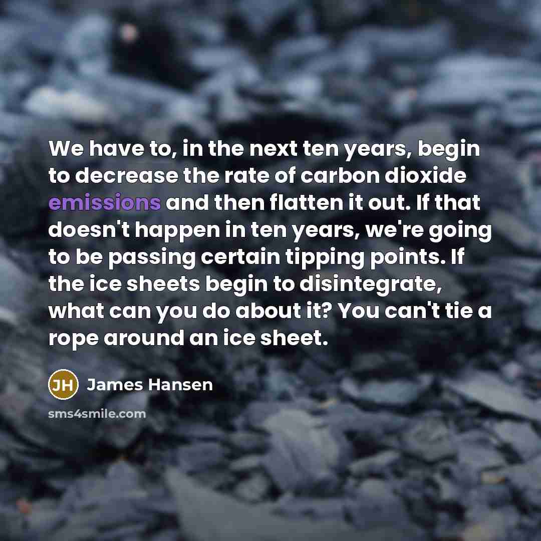 “We have to, in the next ten years, begin to decrease the rate of carbon dioxide emissions and then flatten it out. If that doesn't happen in ten years, we're going to be passing certain tipping points. If the ice sheets begin to disintegrate, what can you do about it? You can't tie a rope around…” quote by James Hansen