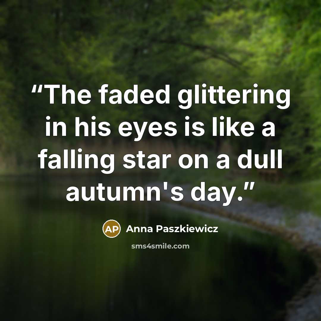 “The faded glittering in his eyes is like a falling star on a dull autumn's day.” quote by Anna Paszkiewicz
