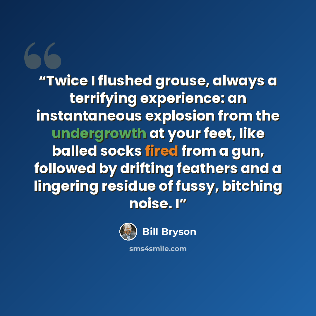 “Twice I flushed grouse, always a terrifying experience: an instantaneous explosion from the undergrowth at your feet, like balled socks fired from a gun, followed by drifting feathers and a lingering residue of fussy, bitching noise. I” quote by Bill Bryson