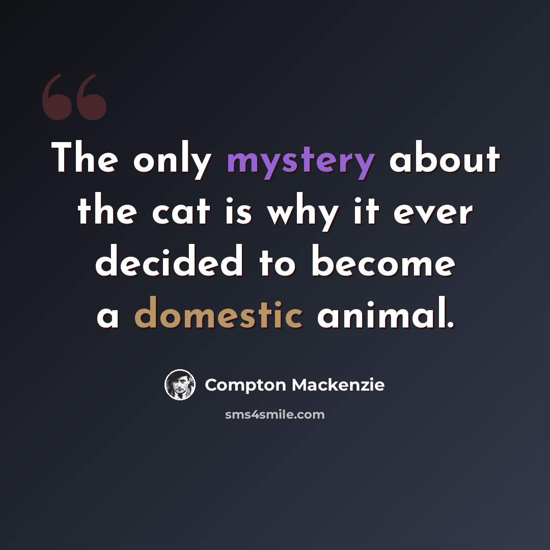 “The only mystery about the cat is why it ever decided to become a domestic animal.” quote by Compton Mackenzie