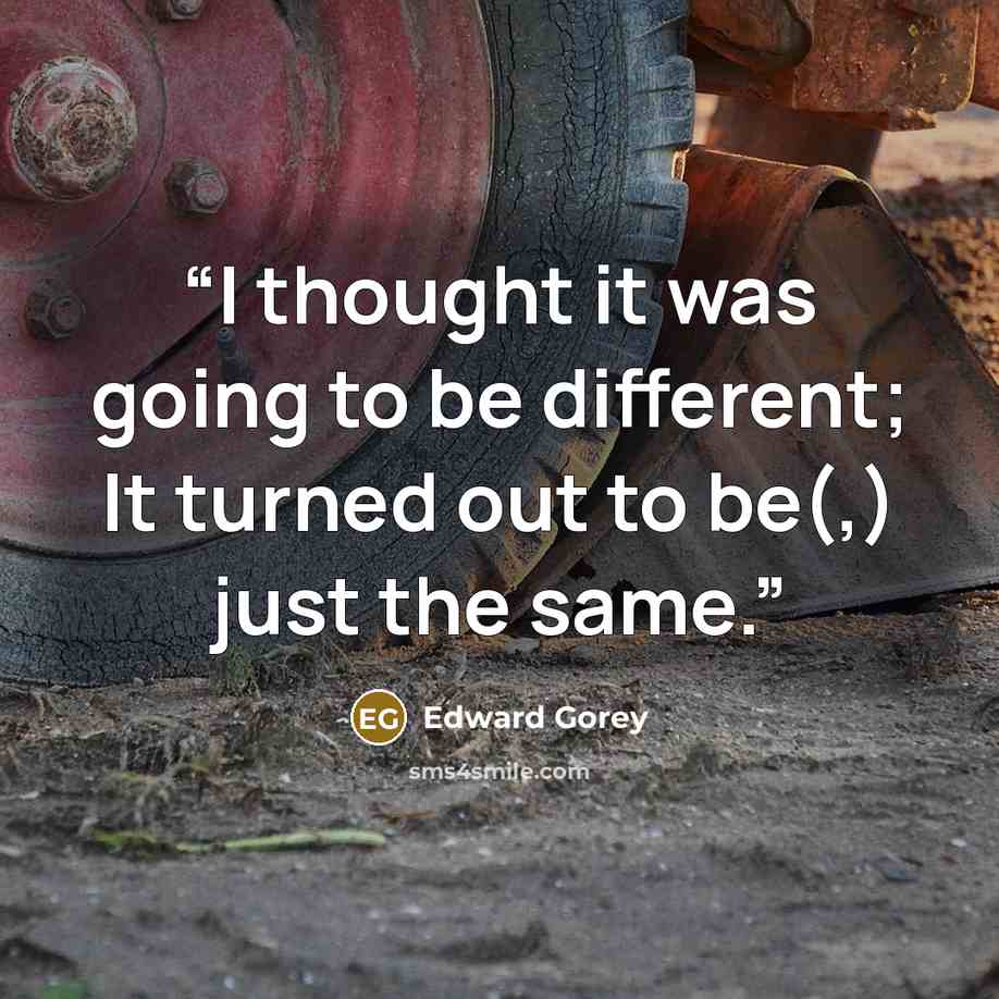 “I thought it was going to be different; It turned out to be(,) just the same.” quote by Edward Gorey