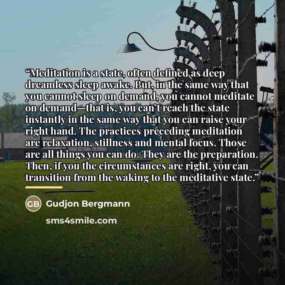 “Meditation is a state, often defined as deep dreamless sleep awake. But, in the same way that you cannot sleep on demand, you cannot meditate on demand—that is, you can’t reach the state instantly in the same way that you can raise your right hand. The practices preceding meditation are…” quote by Gudjon Bergmann