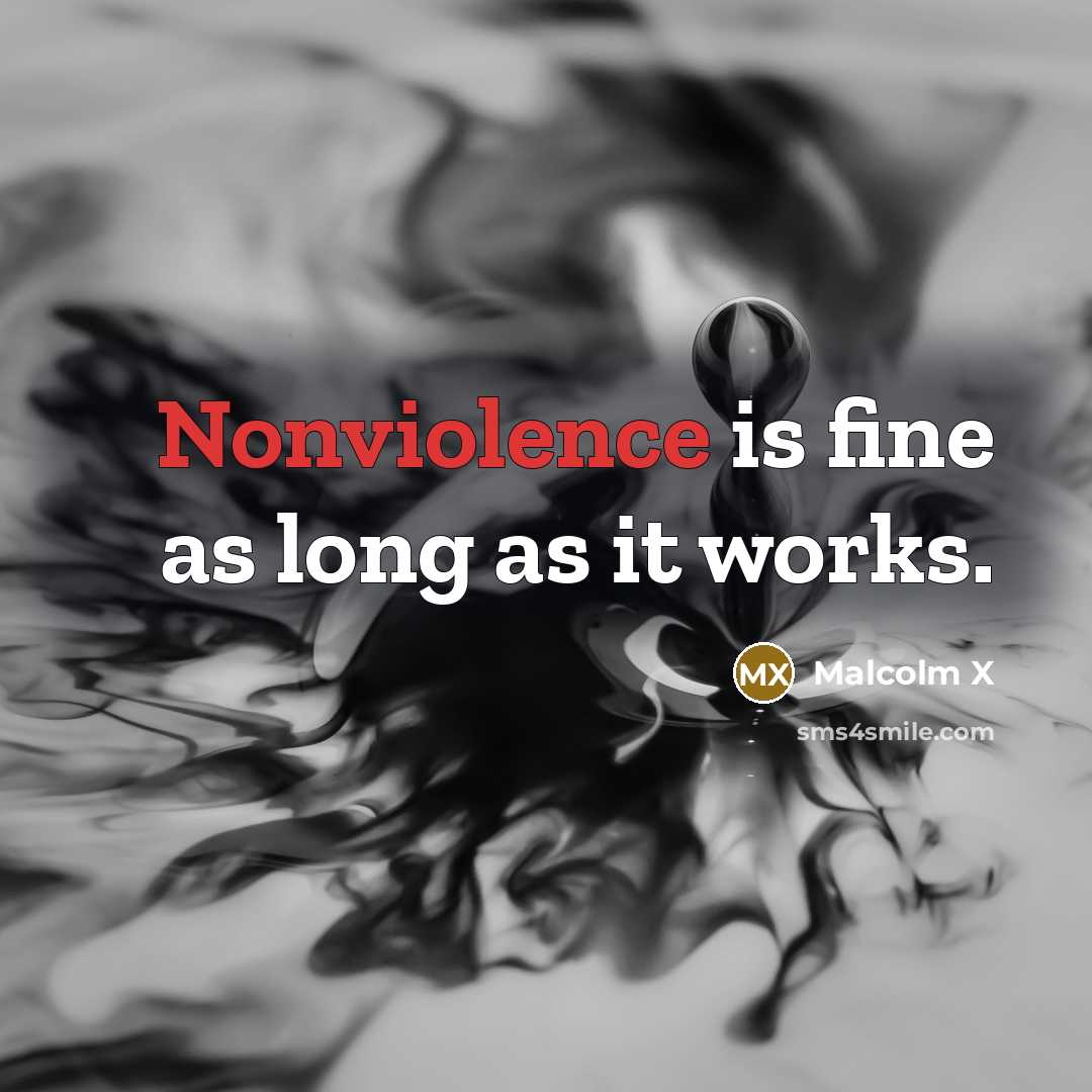 “Nonviolence is fine as long as it works.” quote by Malcolm X
