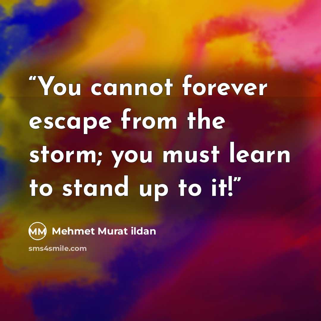 “You cannot forever escape from the storm; you must learn to stand up to it!” quote by Mehmet Murat ildan