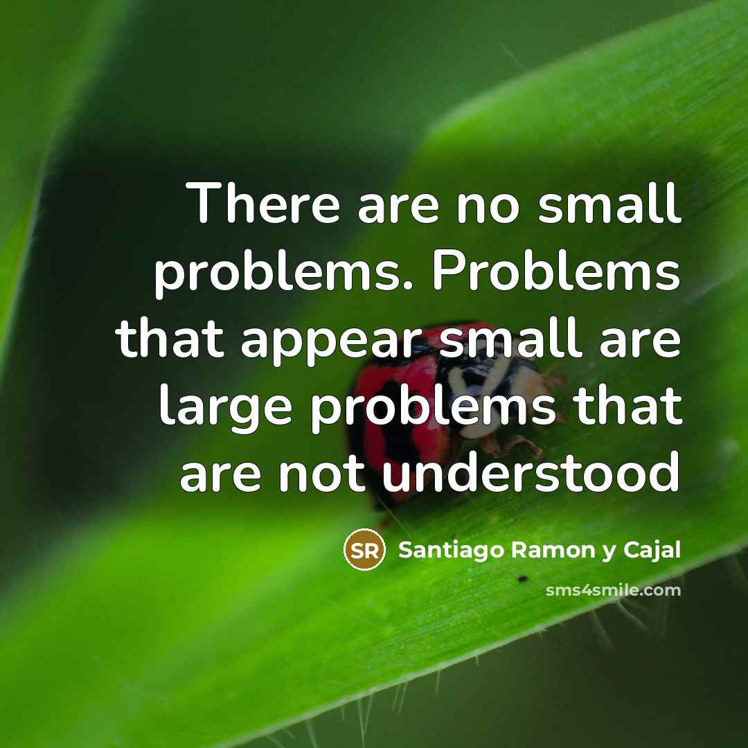 “There are no small problems. Problems that appear small are large problems that are not understood” quote by Santiago Ramon y Cajal