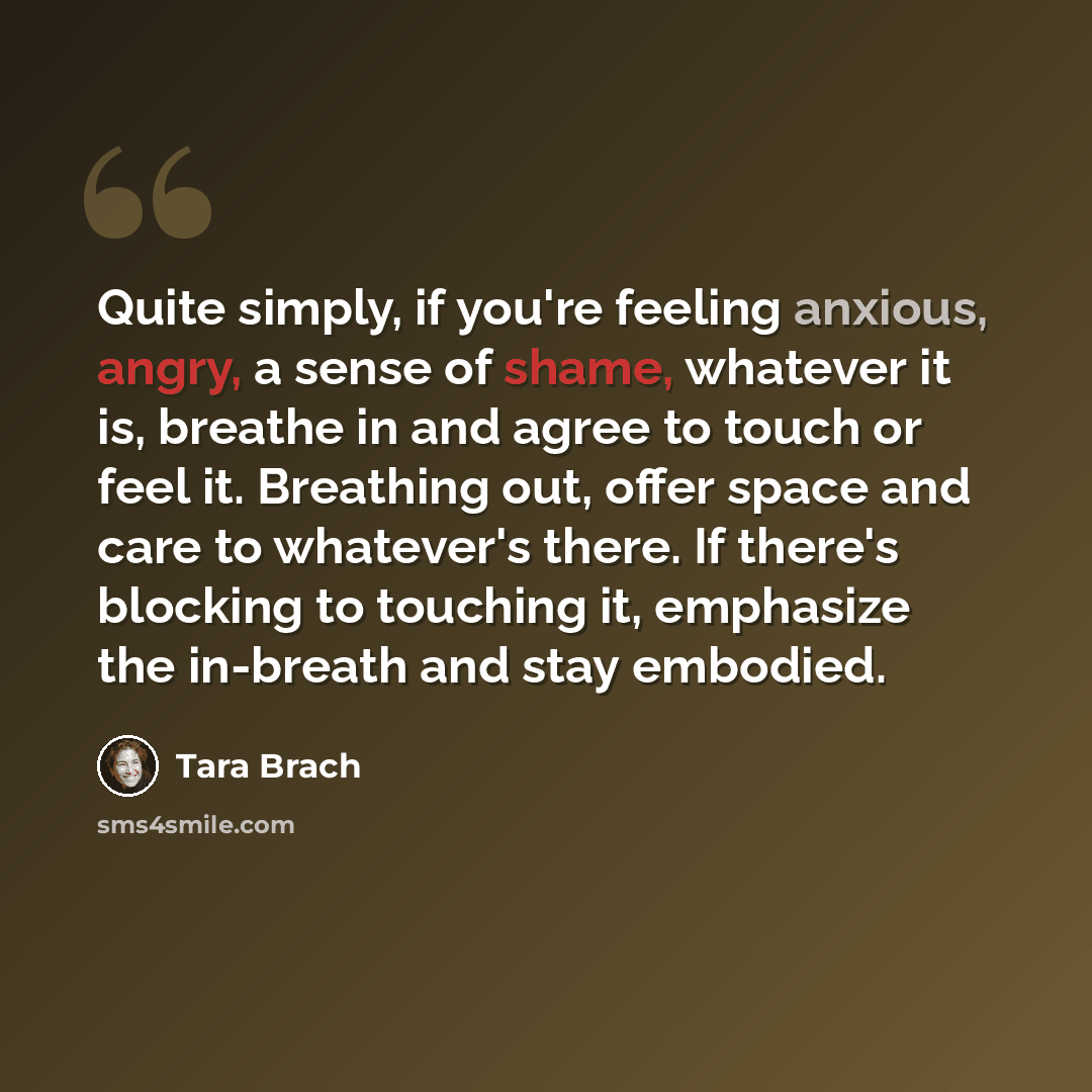 “Quite simply, if you're feeling anxious, angry, a sense of shame, whatever it is, breathe in and agree to touch or feel it. Breathing out, offer space and care to whatever's there. If there's blocking to touching it, emphasize the in-breath and stay embodied.” quote by Tara Brach