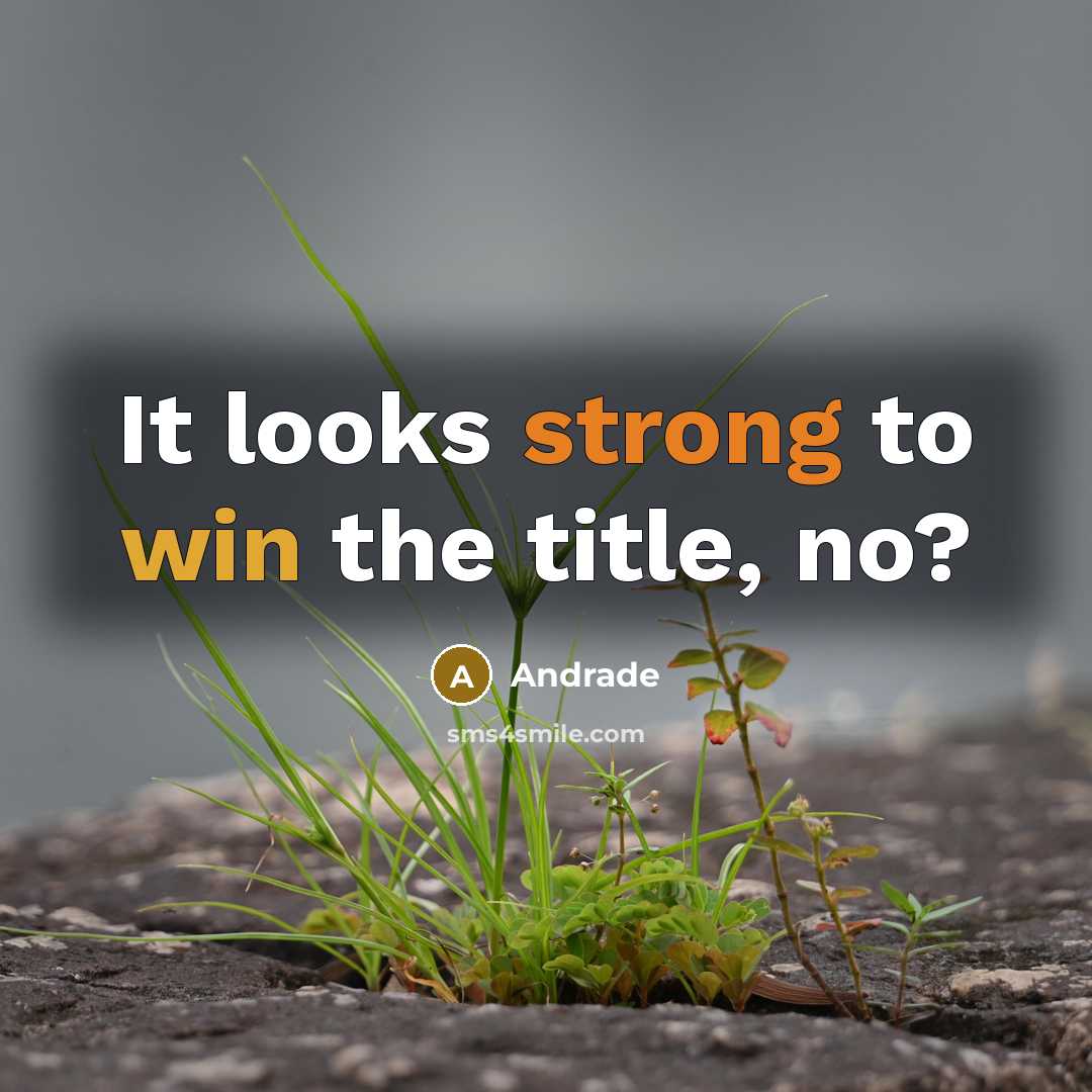 “It looks strong to win the title, no?” quote by Andrade
