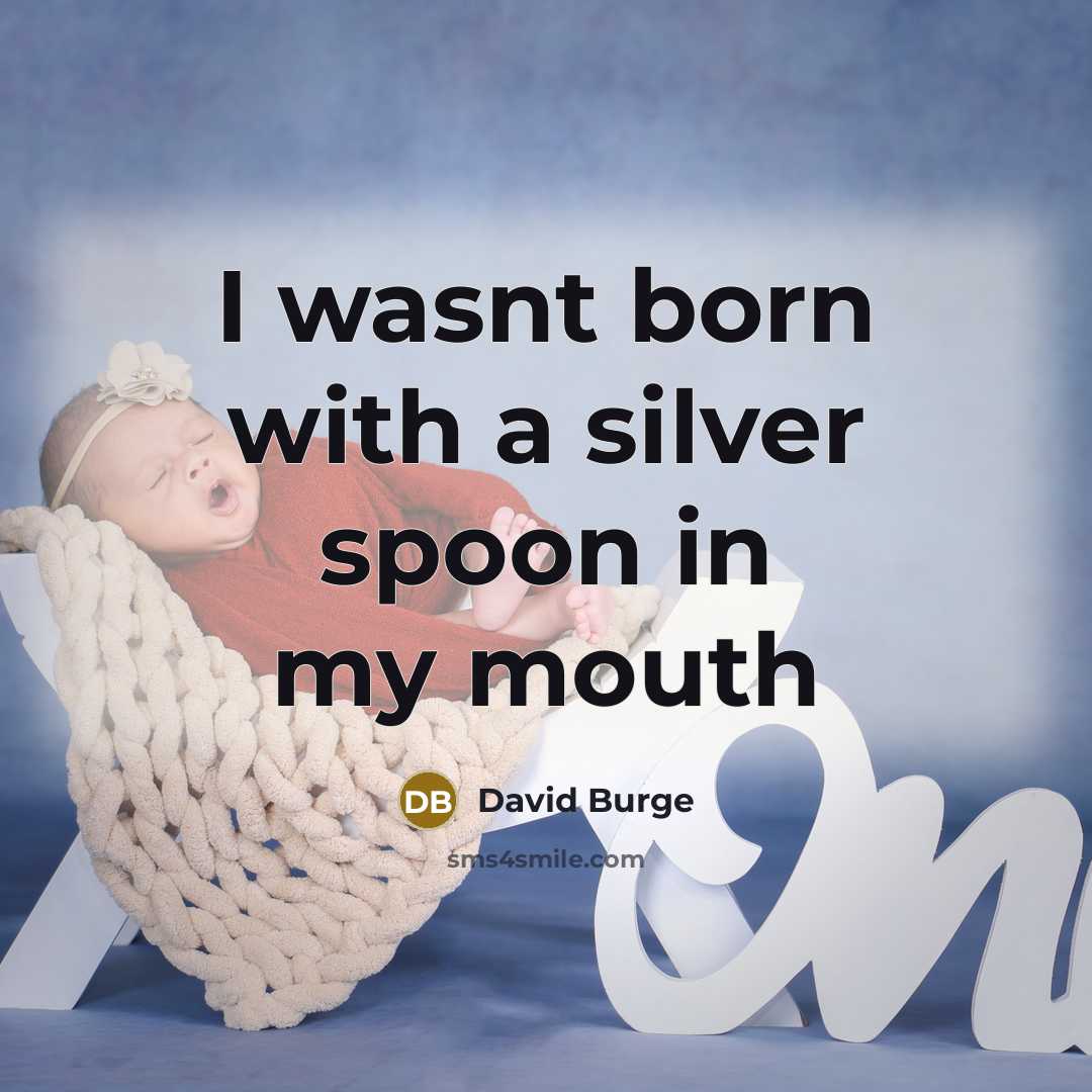 “I wasnt born with a silver spoon in my mouth” quote by David Burge