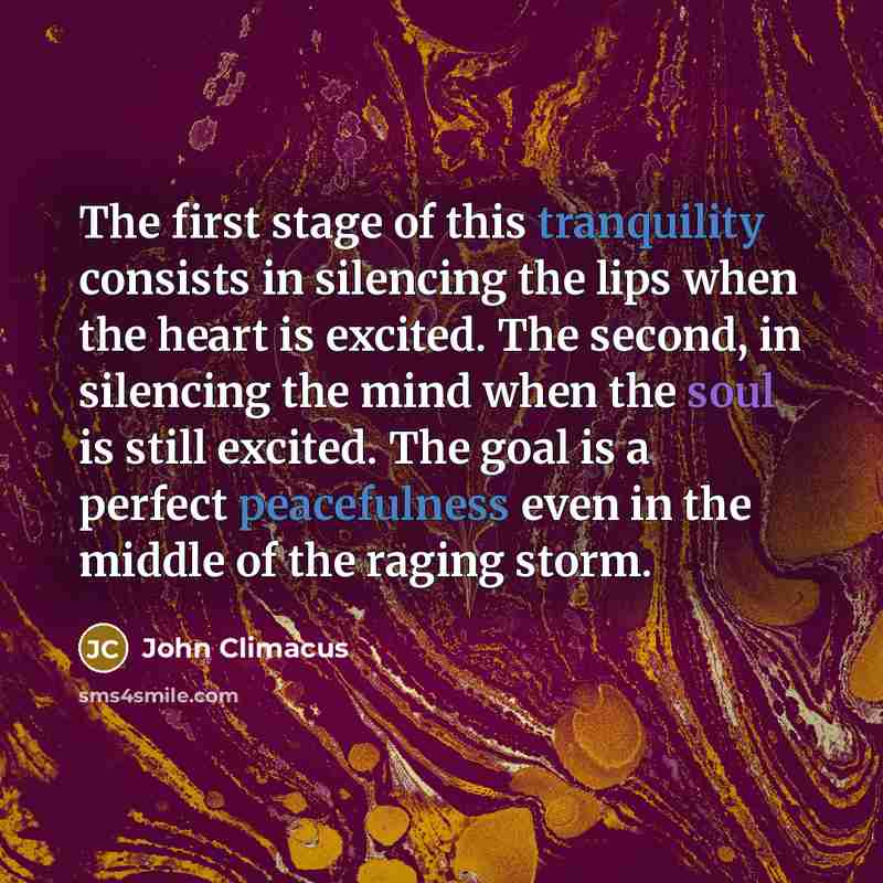“The first stage of this tranquility consists in silencing the lips when the heart is excited. The second, in silencing the mind when the soul is still excited. The goal is a perfect peacefulness even in the middle of the raging storm.” quote by John Climacus
