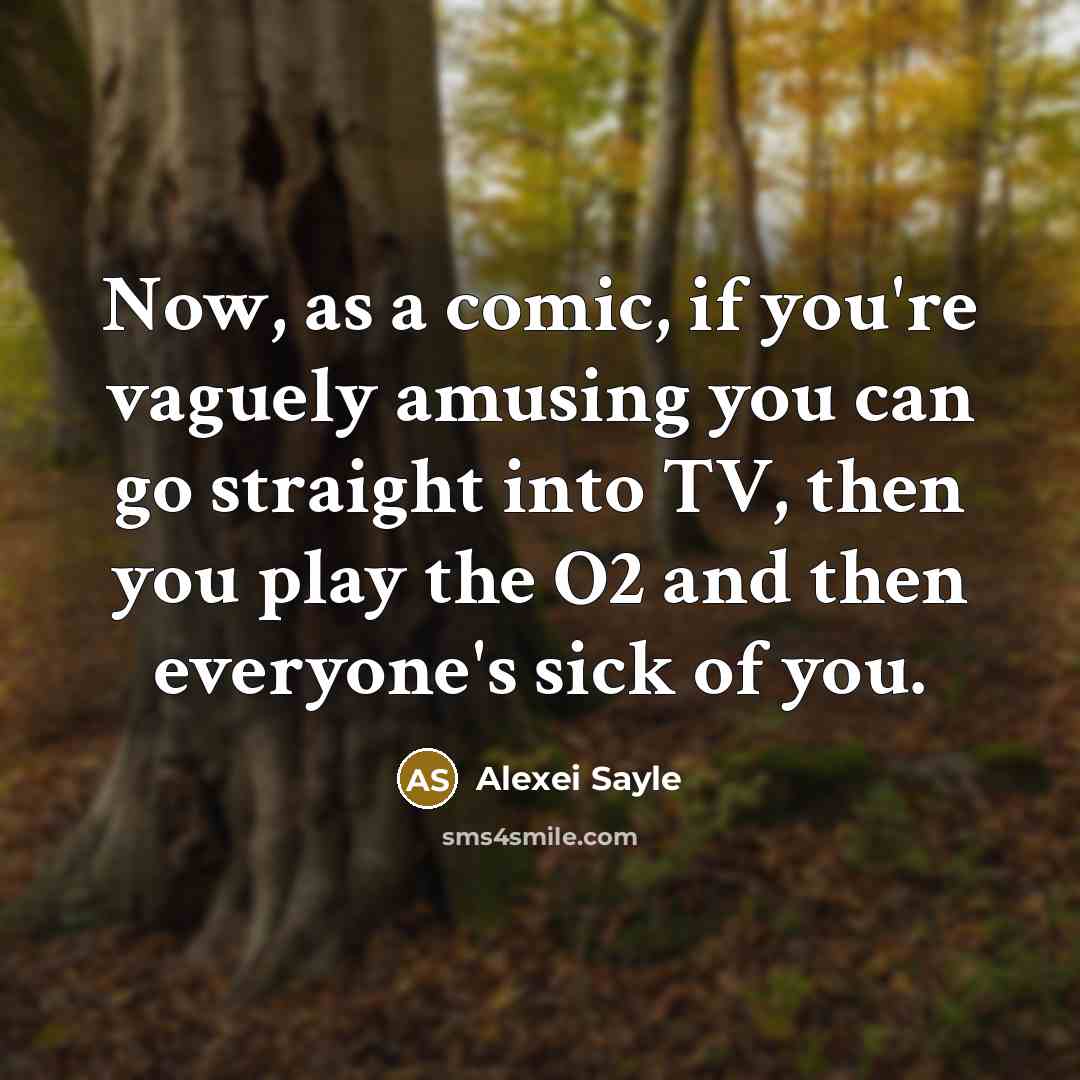 “Now, as a comic, if you're vaguely amusing you can go straight into TV, then you play the O2 and then everyone's sick of you.” quote by Alexei Sayle