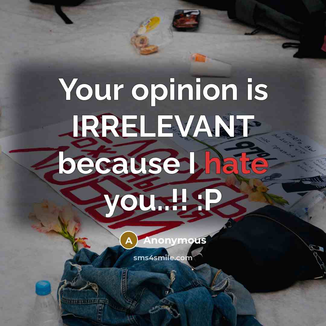 “Your opinion is IRRELEVANT because I hate you..!! :P” quote by Anonymous