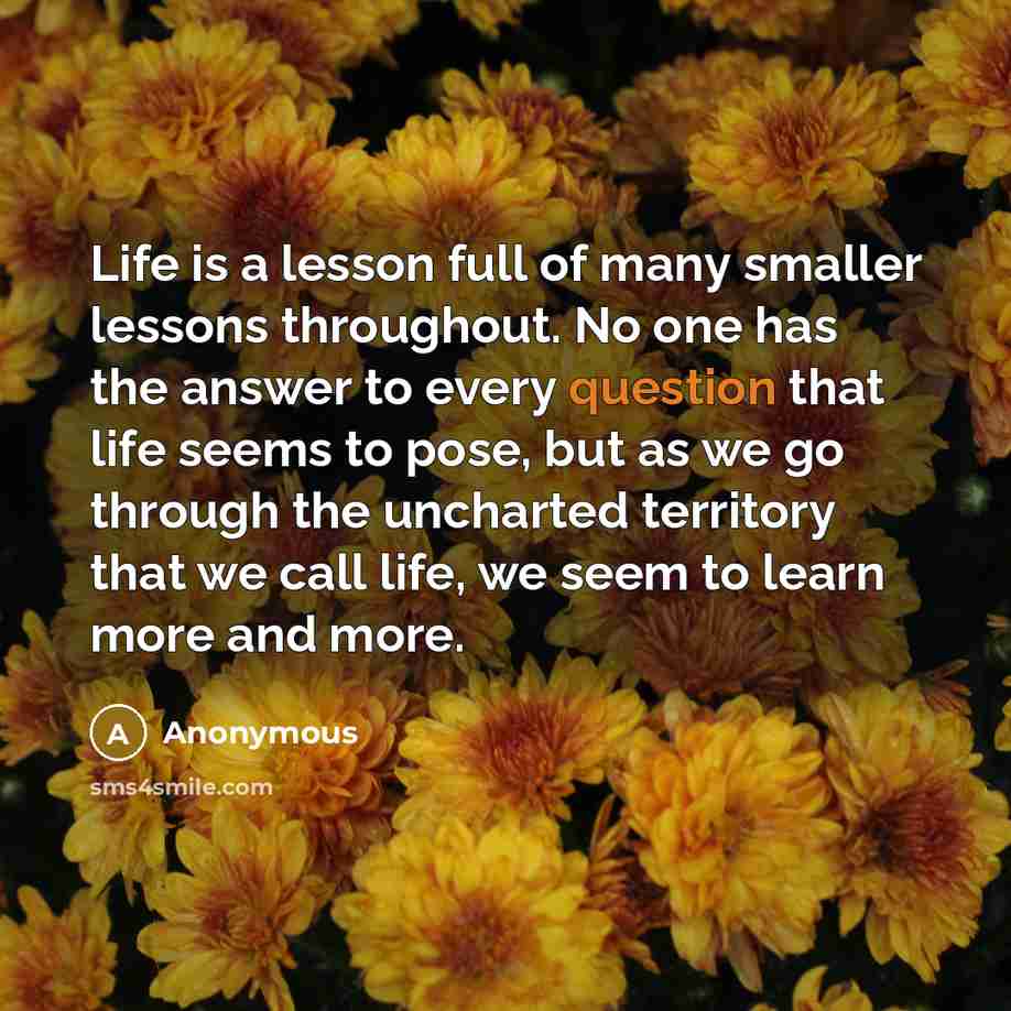 “Life is a lesson full of many smaller lessons throughout. No one has the answer to every question that life seems to pose, but as we go through the uncharted territory that we call life, we seem to learn more and more.” quote by Anonymous