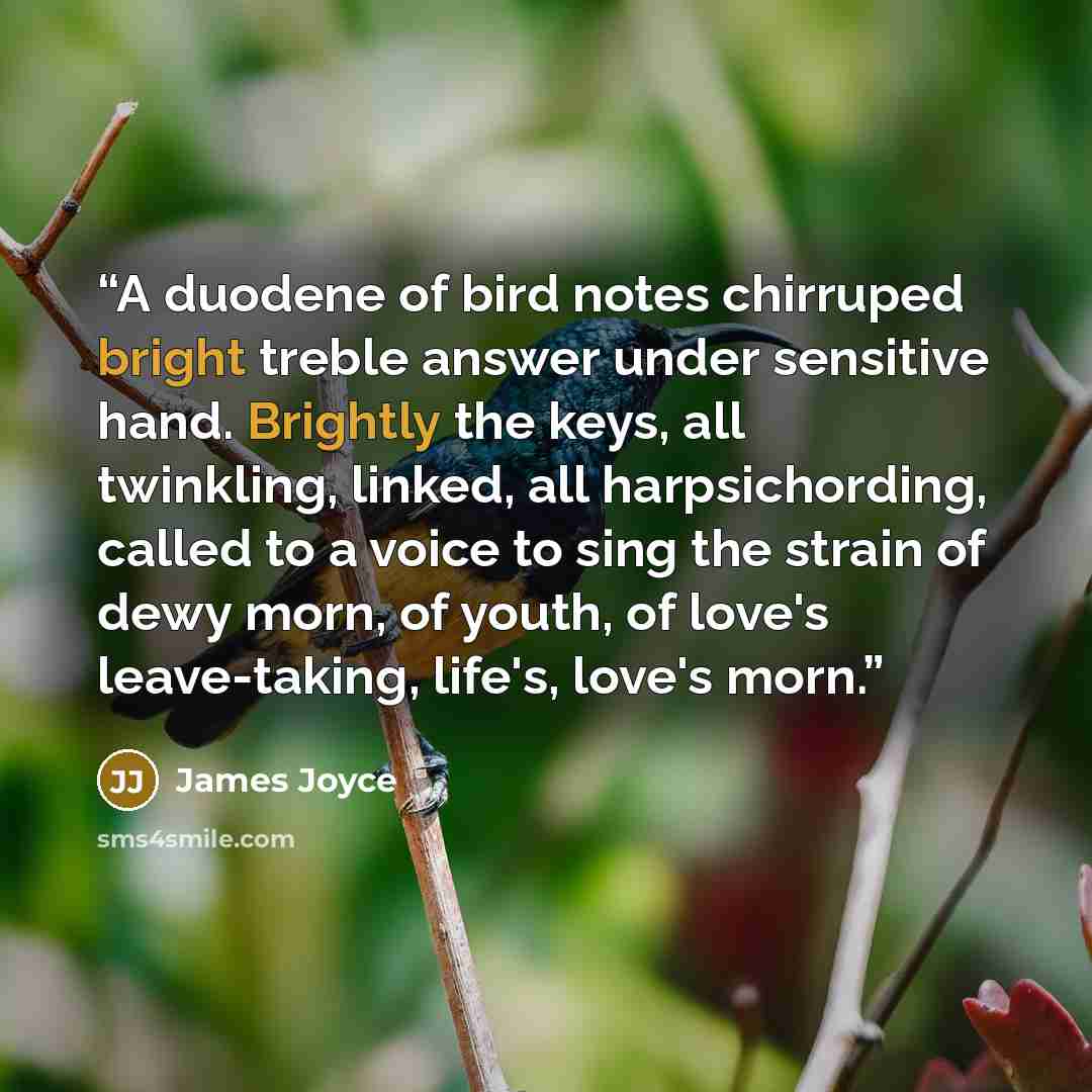 “A duodene of bird notes chirruped bright treble answer under sensitive hand. Brightly the keys, all twinkling, linked, all harpsichording, called to a voice to sing the strain of dewy morn, of youth, of love's leave-taking, life's, love's morn.” quote by James Joyce
