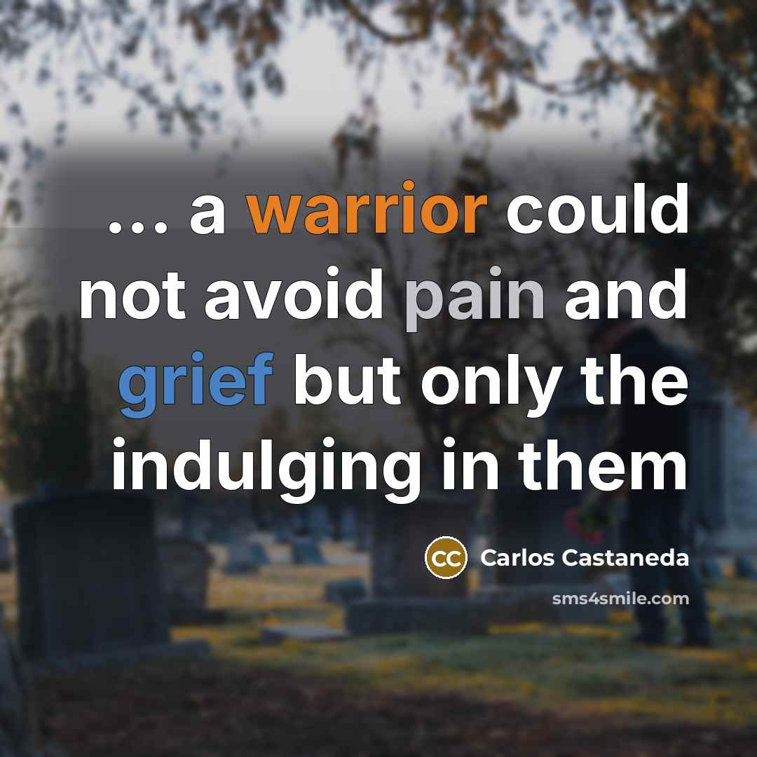 “... a warrior could not avoid pain and grief but only the indulging in them” quote by Carlos Castaneda