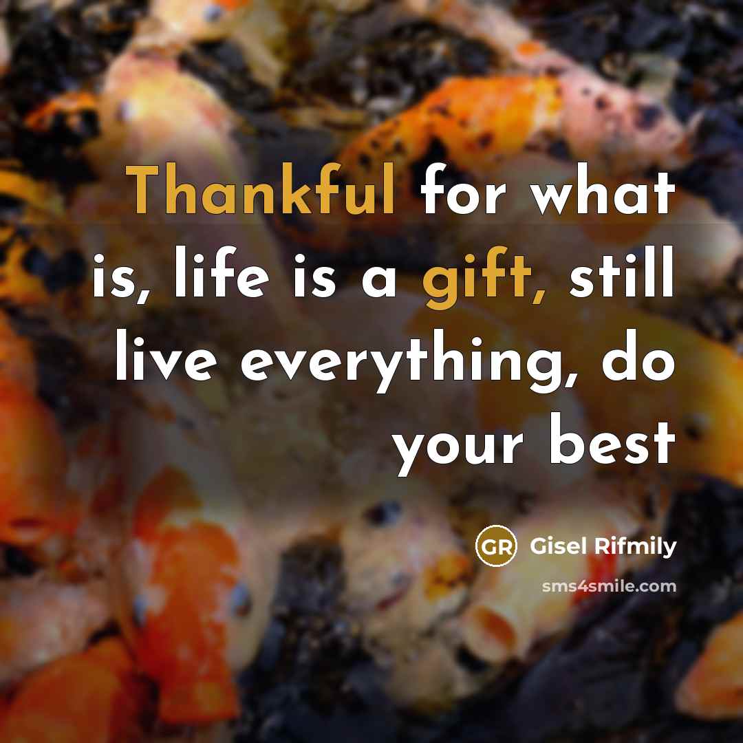 “Thankful for what is, life is a gift, still live everything, do your best” quote by Gisel Rifmily