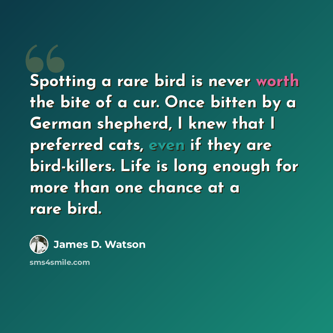 “Spotting a rare bird is never worth the bite of a cur. Once bitten by a German shepherd, I knew that I preferred cats, even if they are bird-killers. Life is long enough for more than one chance at a rare bird.” quote by James D. Watson