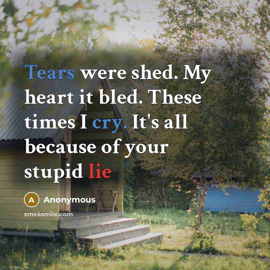 “Tears were shed. My heart it bled. These times I cry. It's all because of your stupid lie” quote by Anonymous