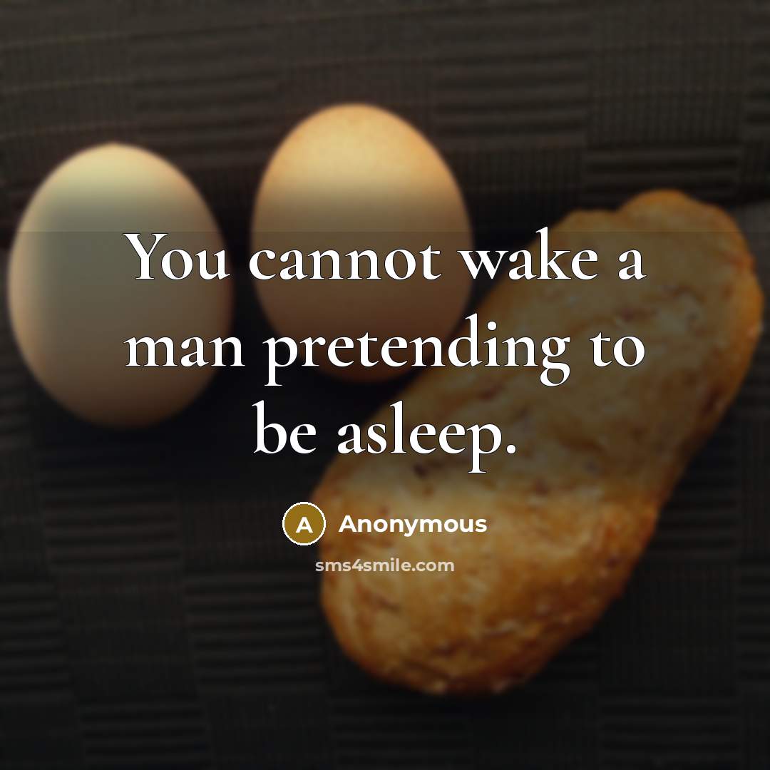 “You cannot wake a man pretending to be asleep.” quote by Anonymous