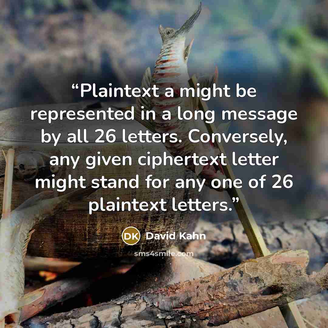 “Plaintext a might be represented in a long message by all 26 letters. Conversely, any given ciphertext letter might stand for any one of 26 plaintext letters.” quote by David Kahn
