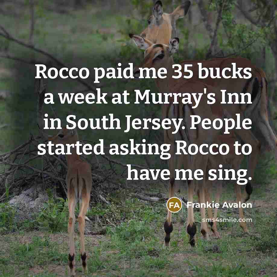 “Rocco paid me 35 bucks a week at Murray's Inn in South Jersey. People started asking Rocco to have me sing.” quote by Frankie Avalon