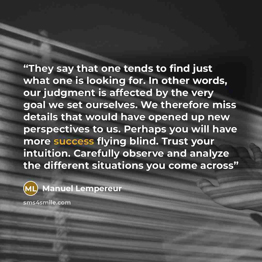 “They say that one tends to find just what one is looking for. In other words, our judgment is affected by the very goal we set ourselves. We therefore miss details that would have opened up new perspectives to us. Perhaps you will have more success flying blind. Trust your intuition. Carefully…” quote by Manuel Lempereur