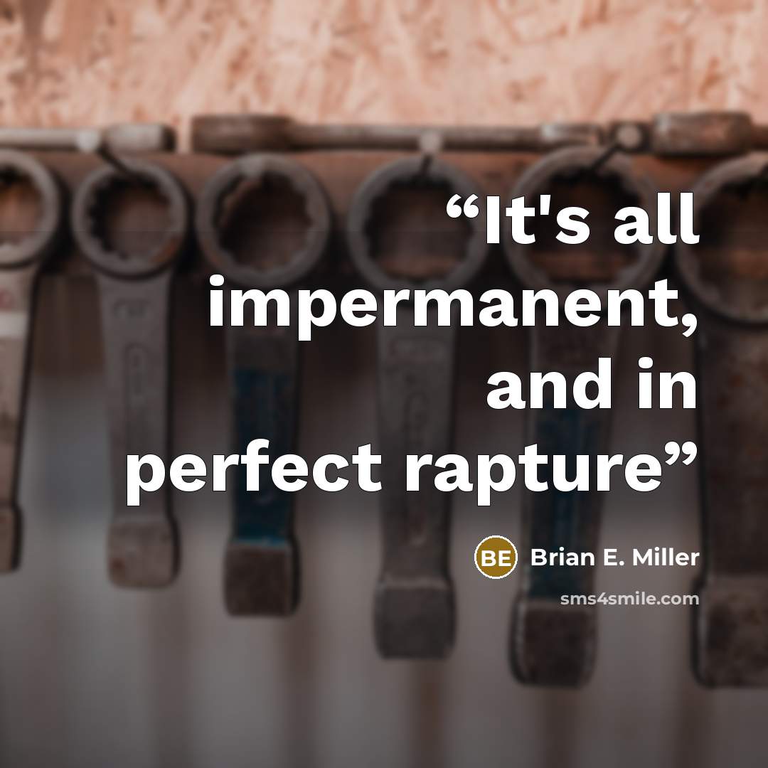 “It's all impermanent, and in perfect rapture” quote by Brian E. Miller