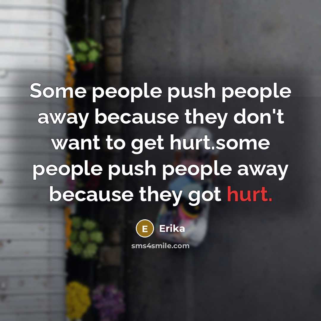 “Some people push people away because they don't want to get hurt.some people push people away because they got hurt.” quote by Erika