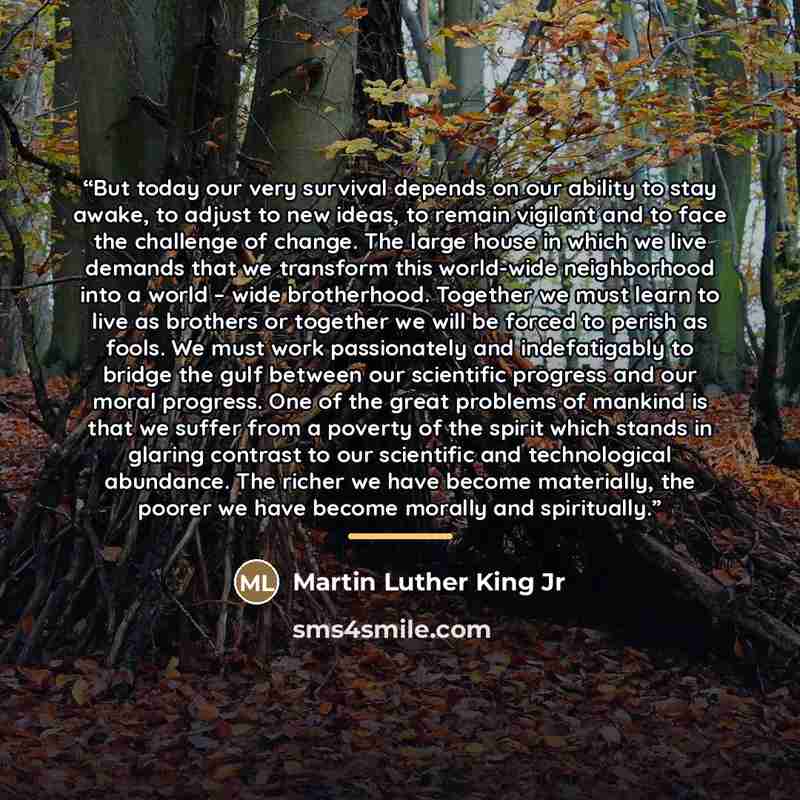 “But today our very survival depends on our ability to stay awake, to adjust to new ideas, to remain vigilant and to face the challenge of change. The large house in which we live demands that we transform this world-wide neighborhood into a world – wide brotherhood. Together we must learn to live…” quote by Martin Luther King Jr