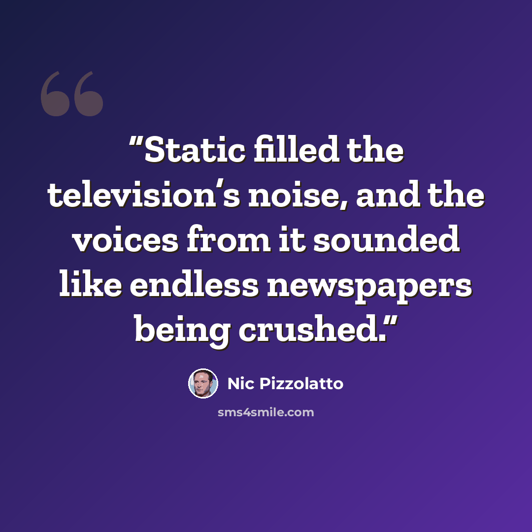 “Static filled the television’s noise, and the voices from it sounded like endless newspapers being crushed.” quote by Nic Pizzolatto