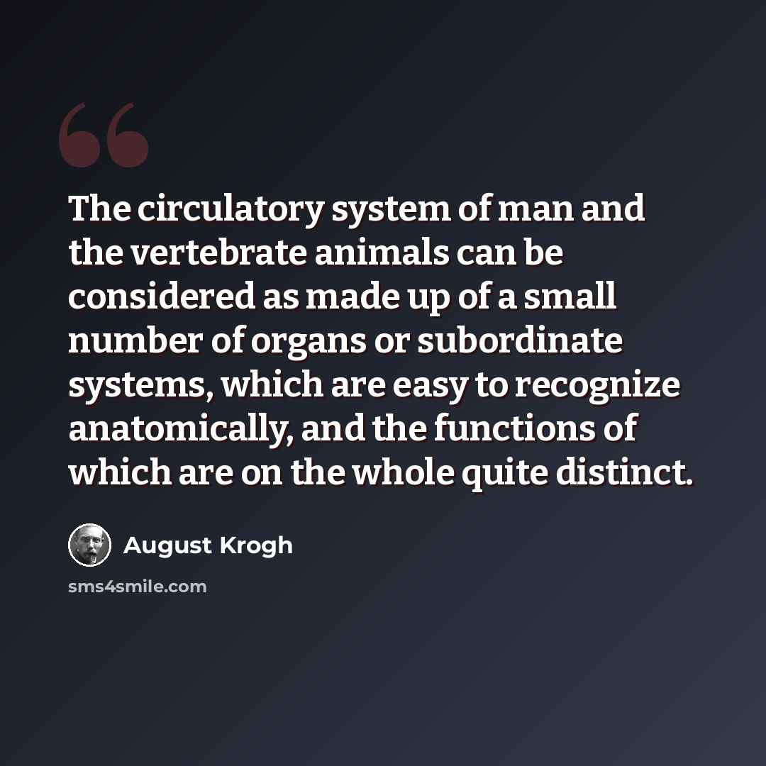 “The circulatory system of man and the vertebrate animals can be considered as made up of a small number of organs or subordinate systems, which are easy to recognize anatomically, and the functions of which are on the whole quite distinct.” quote by August Krogh